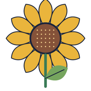 Stay Sunny Detail design concept